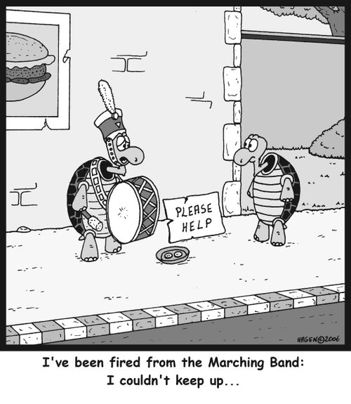 Tortoise: I've been fired from the Marching Band: I couldn't keep up...
