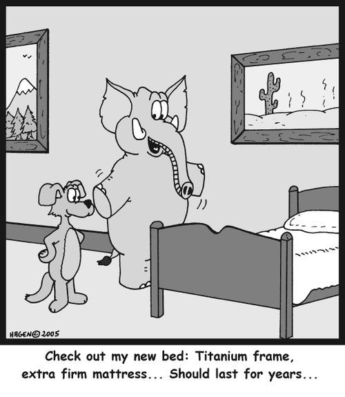 'Check out my new bed: Titanium frame, extra firm mattress...Should last for years...'