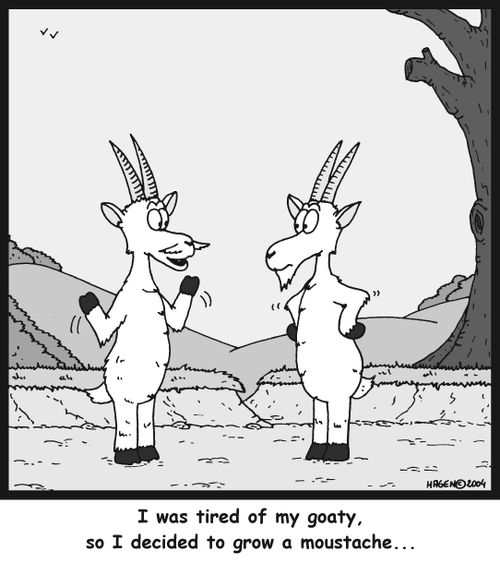 'I was tired of my goaty, so I decided to grow a moustache...'