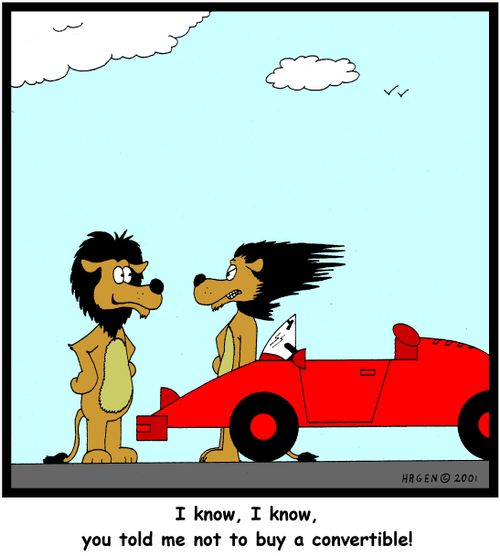 'I know, I know, you told me not to buy a convertible!'