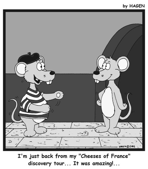 'I'm just back from my 'Cheeses of France' discovery tour...It was amazing!...'