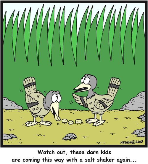 'Watch out, these darn kids are coming this way with a salt shaker again...'