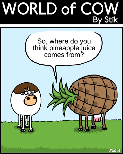 'So where do you think pineapple juice comes from?'