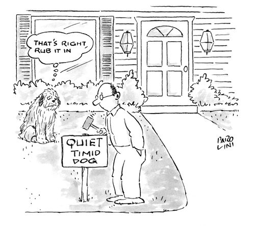 Quiet, Timid dog - 'That's right, rub it in'