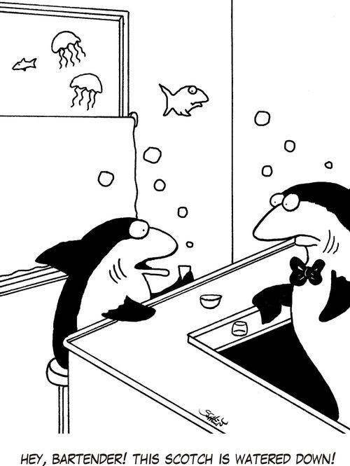 'Hey, bartender! This scotch is watered down!'