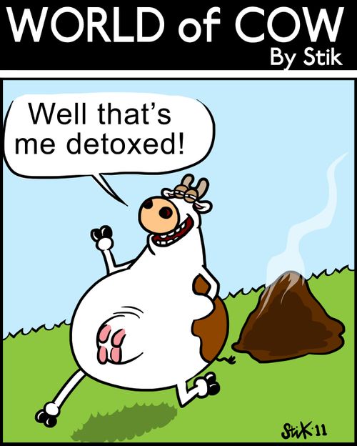Well that's me detoxed!