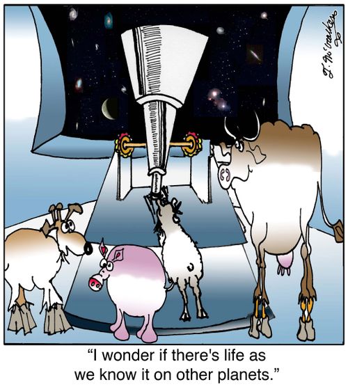 I wonder if there's life as we know it on other planets.