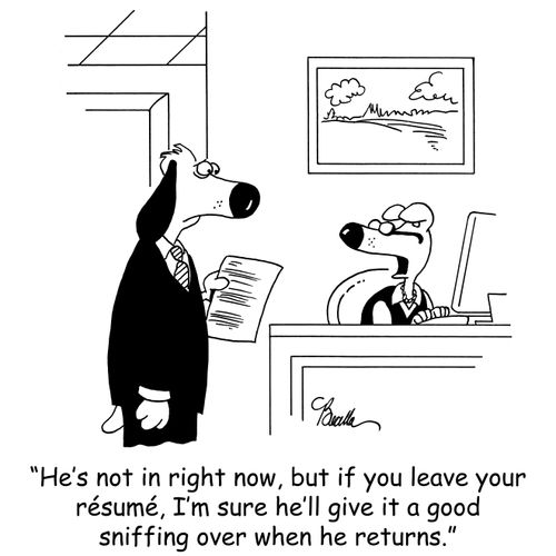 'He's not in right now, but if you leave your résumé, I'm sure he'll give it a good sniffing over when he returns.'