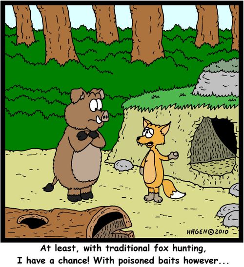 'At least with traditional fox hunting, I have a chance! With poisoned baits however...'