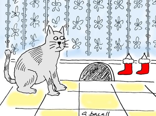 Cat hangs Christmas stockings.