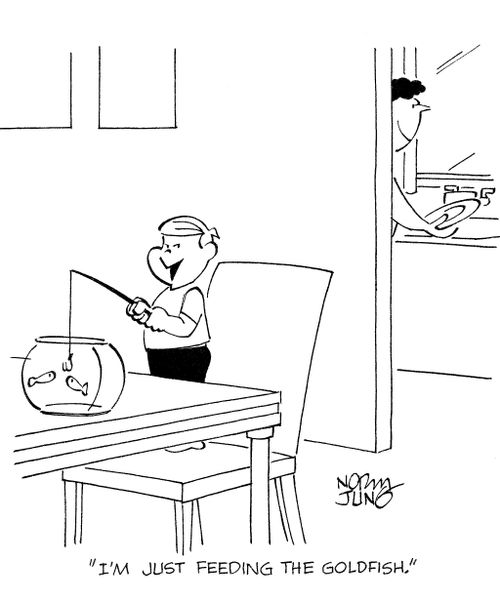 'I'm just feeding the goldfish.'