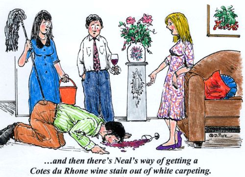 ...and then there's Neal way of getting a Cotes du Rhone wine stain out of white carpeting.'