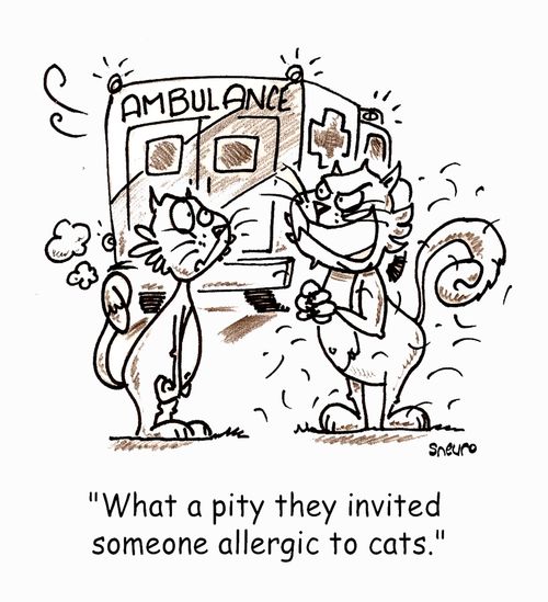 What a pity they invited someone allergic to cats.