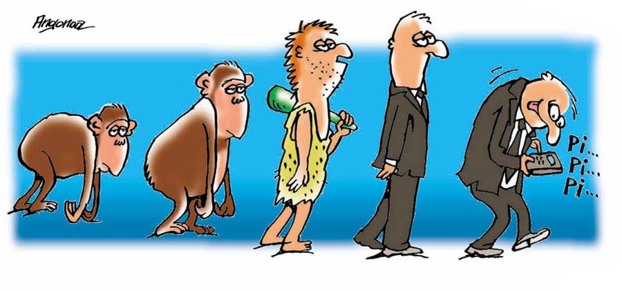 Evolution of the Mathematician.