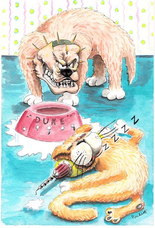 A dog is angry at cat for drilling holes in his water bowl.