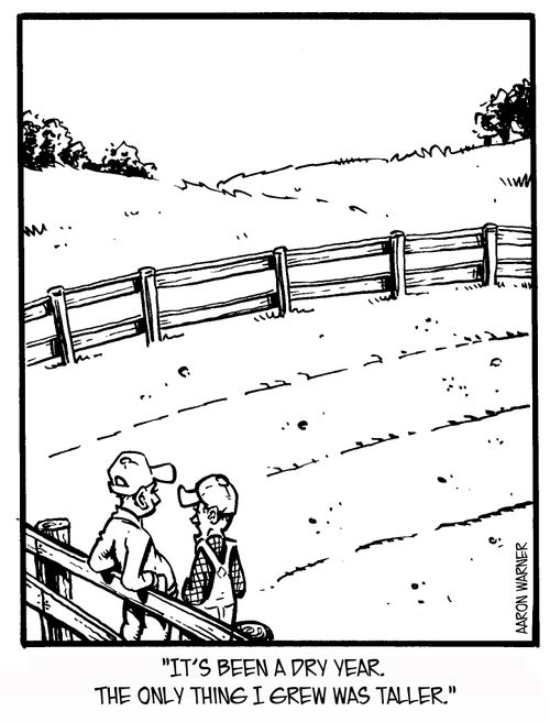 'It's been a dry year. The only thing I grew was taller.'