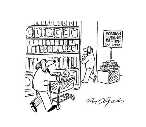 Foreign cuisine section - Cat food.