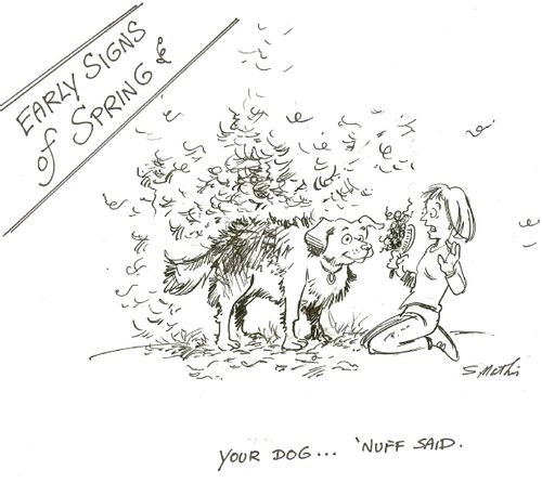 'Early Signs of Spring #4: Your dog...'