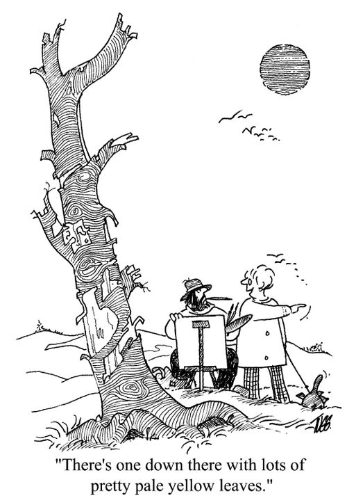 'There's one down there with lots of pretty pale yellow leaves.'