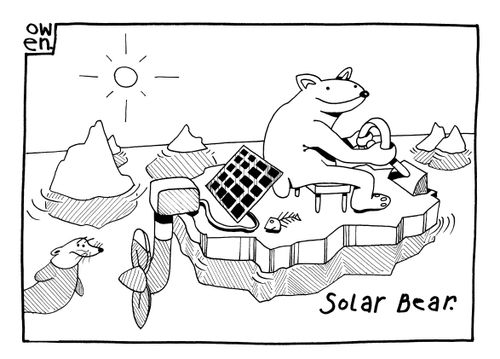 Solar Bear