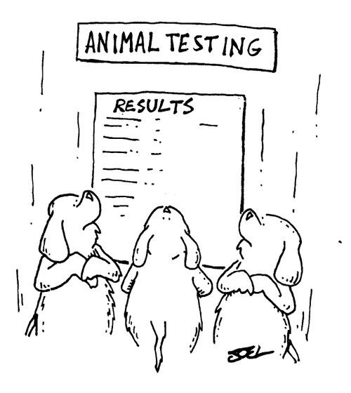 Animal Testing - Results