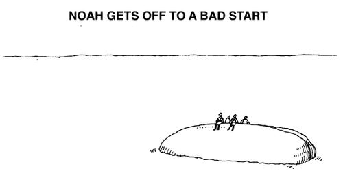 'Noah gets off to a bad start'