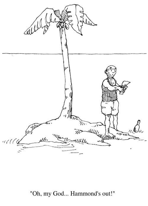 Cricket supporter on a desert island