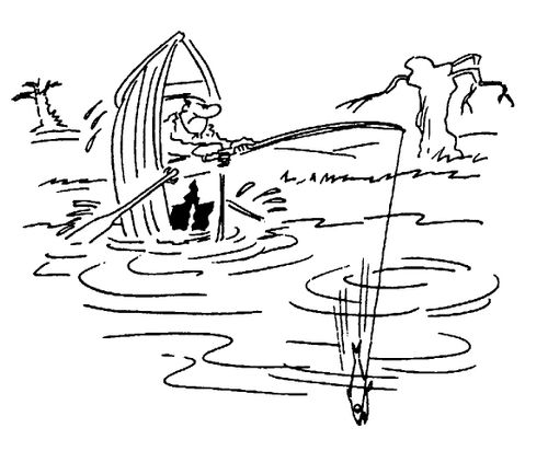Fighting the Fish