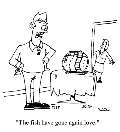 "The fish have gone again love !"