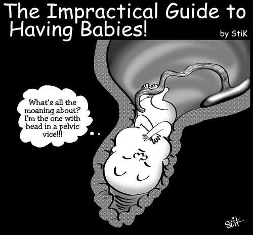 The Impractical Guide to Having Babies: 'I'm the one with his head in a pelvic vice!'