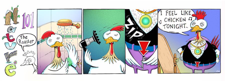 'I feel like chicken tonight' - A rooster gets ready for a night on the town.