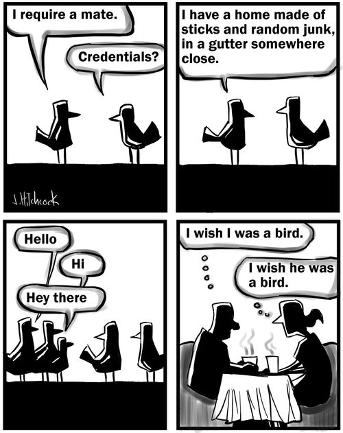 Life is for the birds.