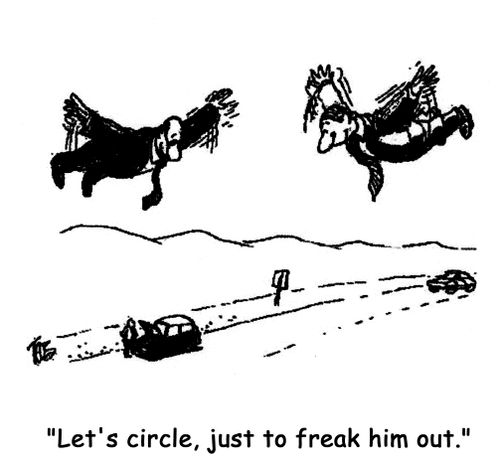 'Let's circle, just to freak him out.'
