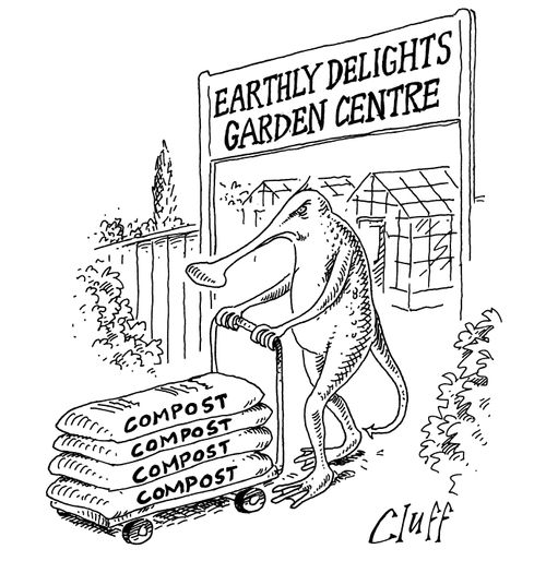 Earthly Delights Garden Centre
