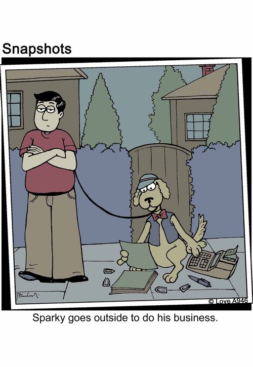 Sparky goes outside to do his business.