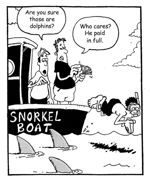 'Are you sure those are dolphins?'