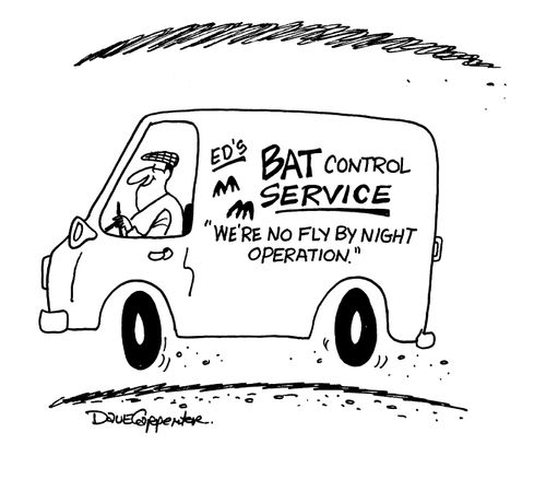 'We're no fly by night operation.'
