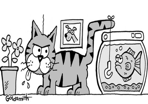 Cat fish.