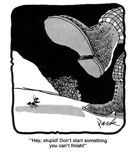 'Hey, stupid! Don't start something you can't finish!'