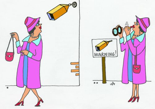Vanity for the Surveillance Camera