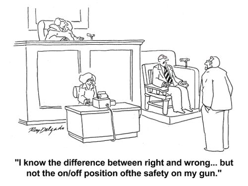 'I know the difference between right and wrong... but not the on/off position of the safety on my gun.'