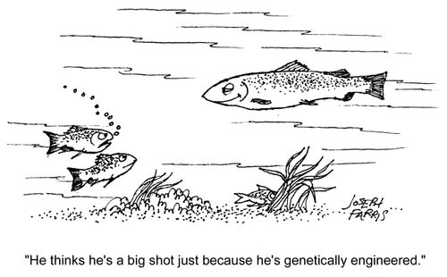 'He thinks he's a big shot because he's genetically engineered.'