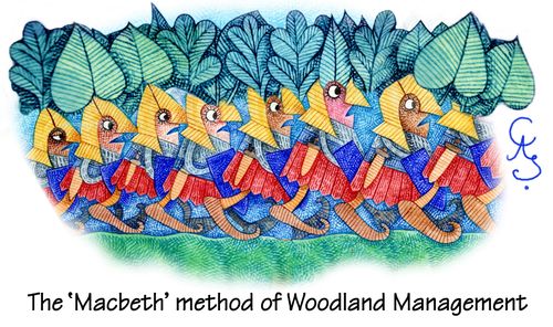 Reference to 'Macbeth' - marching soldiers carrying leaves and branches as a means of transplanting a forest.