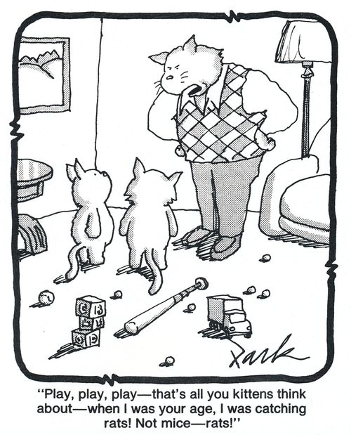 'Play, play, play - That's all you kittens think about - When I was your age,I was catching rats! Not mice - Rats!'