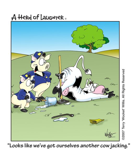 'Looks like we've got ourselves another cow jacking.'