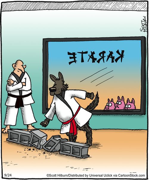 Three Little Pigs and the Karate Wolf.