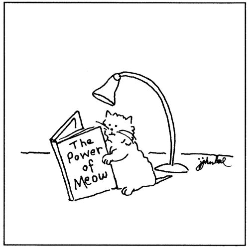 Cat sits under a lamp reading a book entitled 'The Power of Meow.'