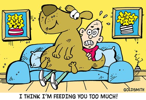 'I think I'm feeding you too much.'