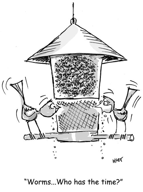 'Worms...Who has the time?'
