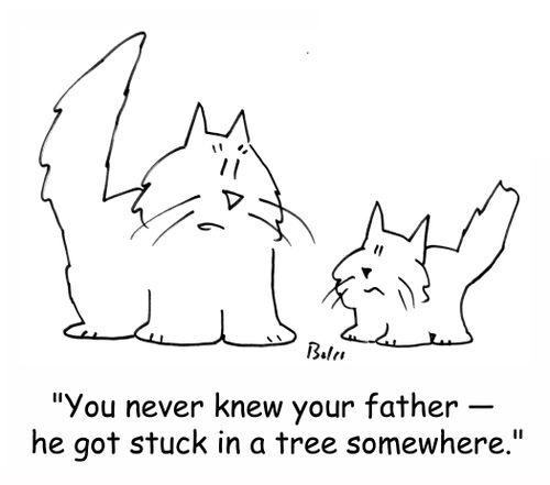 'You never knew your father - he got stuck in a tree somewhere.'